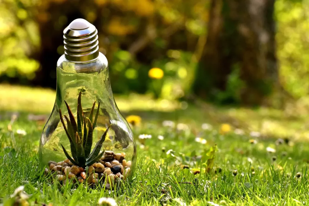 Regenerative Finance (ReFi) Nedir? refi protect world