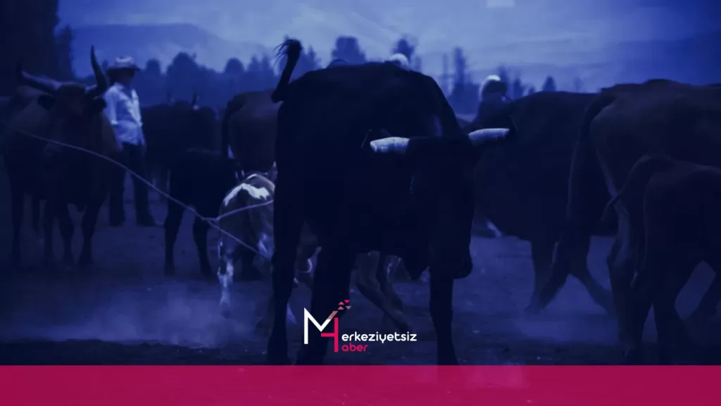 CPI Raporu ve Piyasaya Olan Etkisi