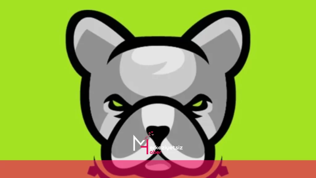 Pitbull Coin Hangi Borsada Listelenecek pitbull