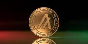 ALGO Coin Nedir?