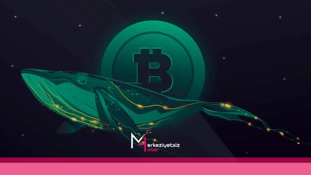 Coin Balinaları