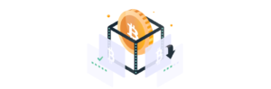 pasted image 0 SegWit ne demek