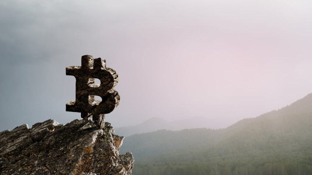 Eski MicroStrategy CEO’su Bitcoin Rallisinin Daha Yeni Başladığını Söyledi bitcoin