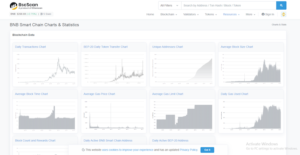 5062B69A2B43C1F8A7ACBB265DA2E2B6 BscScan Nedir