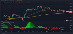 iUUeXhz8 bitcoin