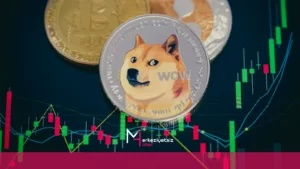 Dogecoin Madenciliği