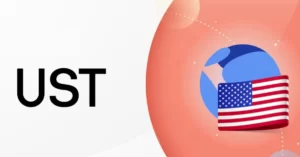 terrausd-coin-nasil-alinir-coin-turk-com Prime Trust