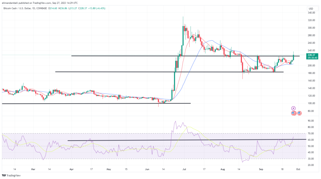 bitcoin cash bitcoin cash