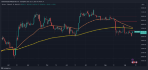 qSNnrNhE bitcoin