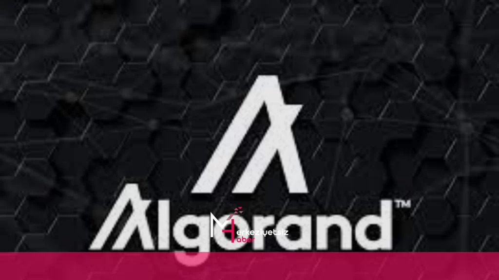 ALGO Coin Geleceği