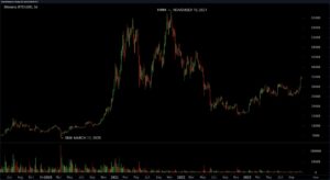 Bitcoin'in Siyah Kuğusu - 2020'nin 'Kara Perşembe'sine Geriye Dönük Bir Bakış