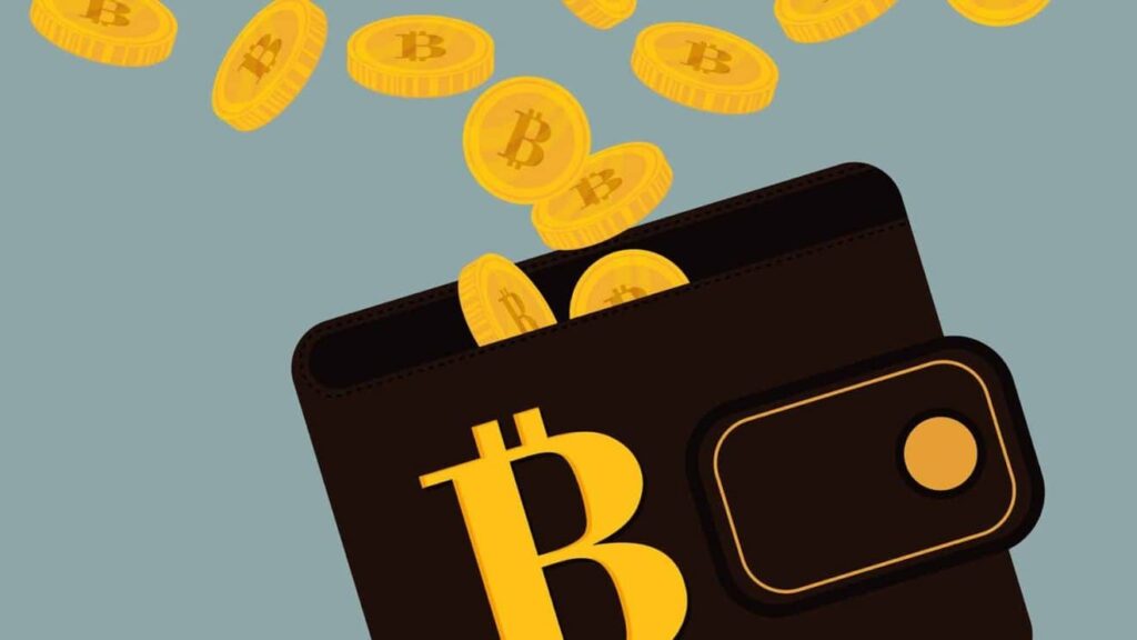 Bitcoin-Wallet-en-iyi-yedi Binance