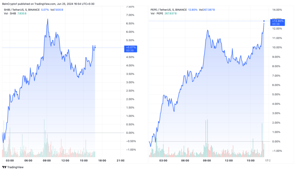 Shiba Inu (SHIB) ve Pepe (PEPE) Fiyat Performansı. Kaynak: TradingView kripto balinaları PEPEUSDT 2024 06 25 16 54 22 2048x1185