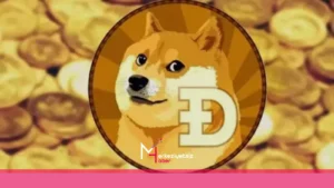 mhaber_7-21-2024_12-7-47 mhaber 7 21 2024 12 7 47