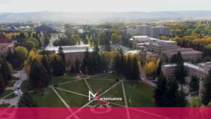 mhaber_7-29-2024_17-45-50 mhaber 7 29 2024 17 45 50