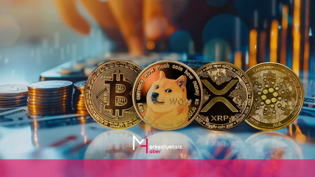 mhaber 8 29 2024 0 3 35