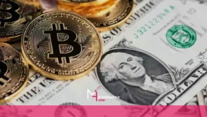 mhaber_8-5-2024_16-45-21 mhaber 8 5 2024 16 45 21