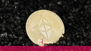 mhaber_8-7-2024_18-11-41 mhaber 8 7 2024 18 11 41