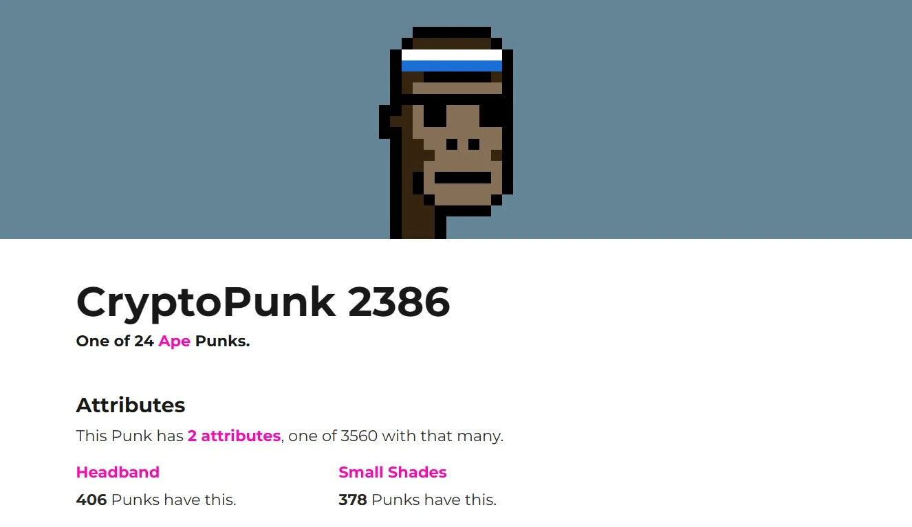 0191e54b-873f-7533-9cdf-8b2519107350 CryptoPunk