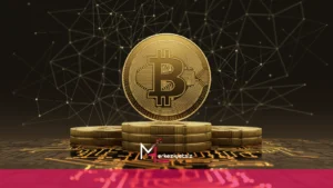 mhaber_9-30-2024_22-42-29 Bitcoinfi