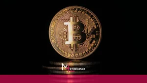 mhaber_10-12-2024_23-29-36 kripto para madenciliği geleceği 2024
