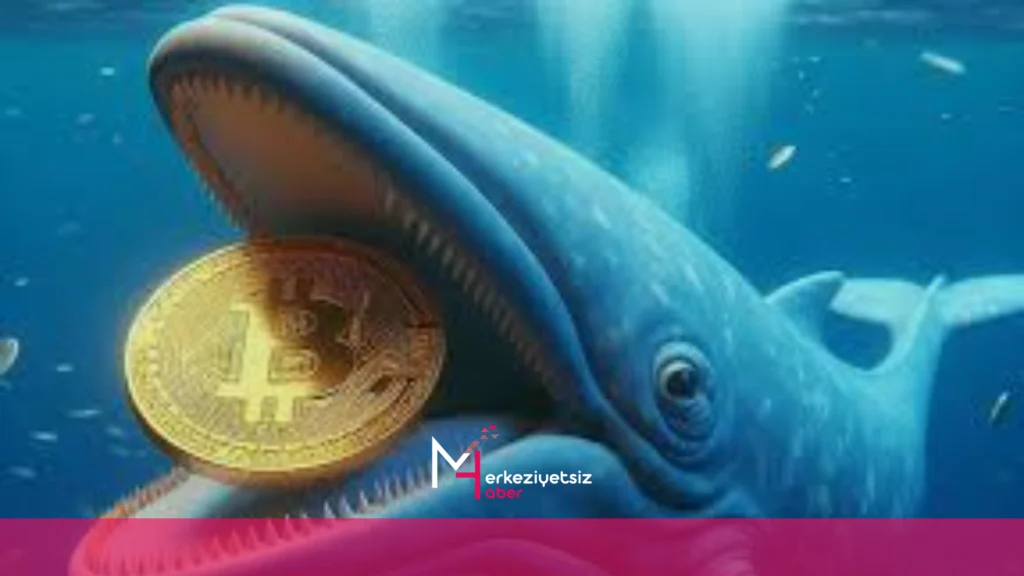 mhaber_10-24-2024_13-9-5 Bitcoin