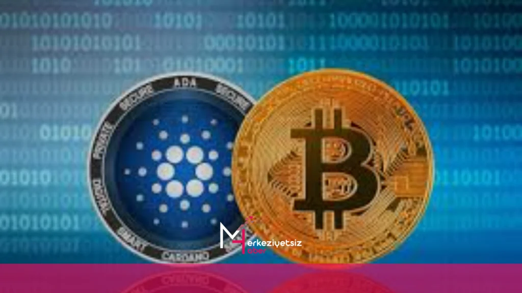 mhaber 10 29 2024 0 17 44