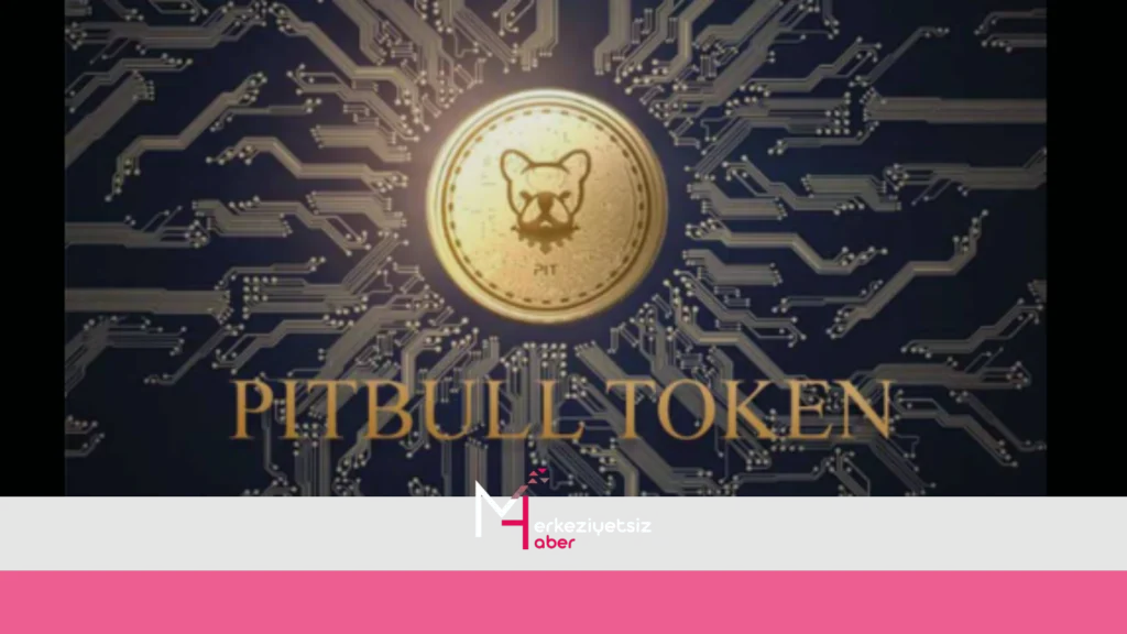 pitbull coin yorum