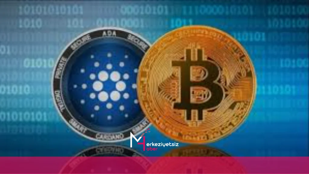 mhaber_11-13-2024_23-54-22 ADA