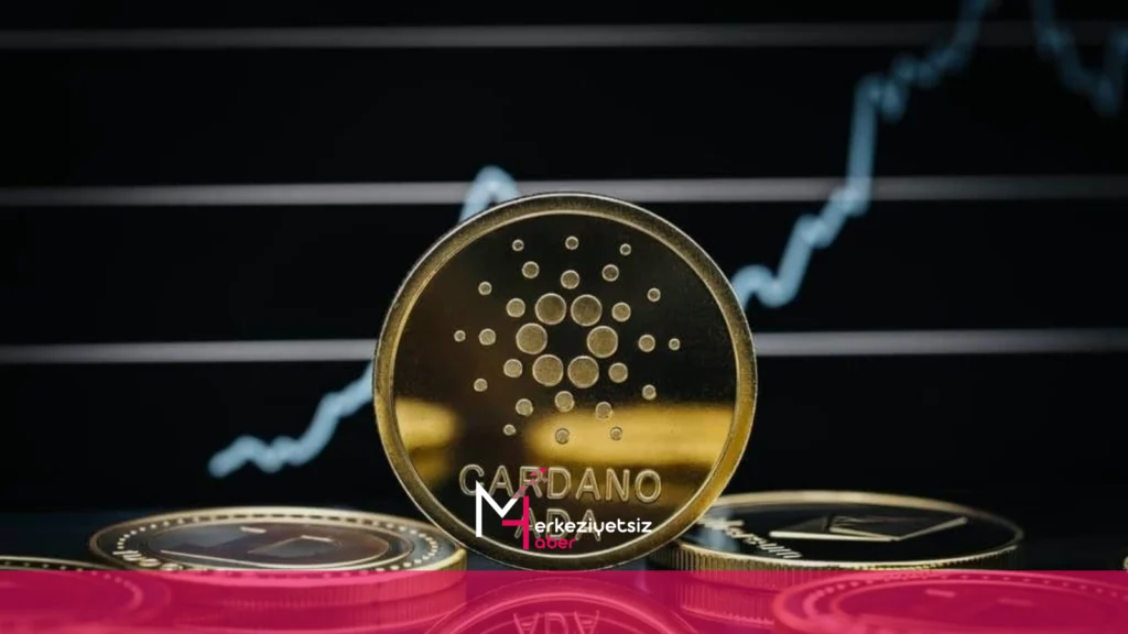 mhaber 11 13 2024 23 54 27