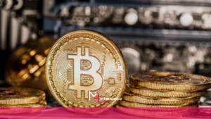 mhaber_11-22-2024_23-49-55 bitcoin