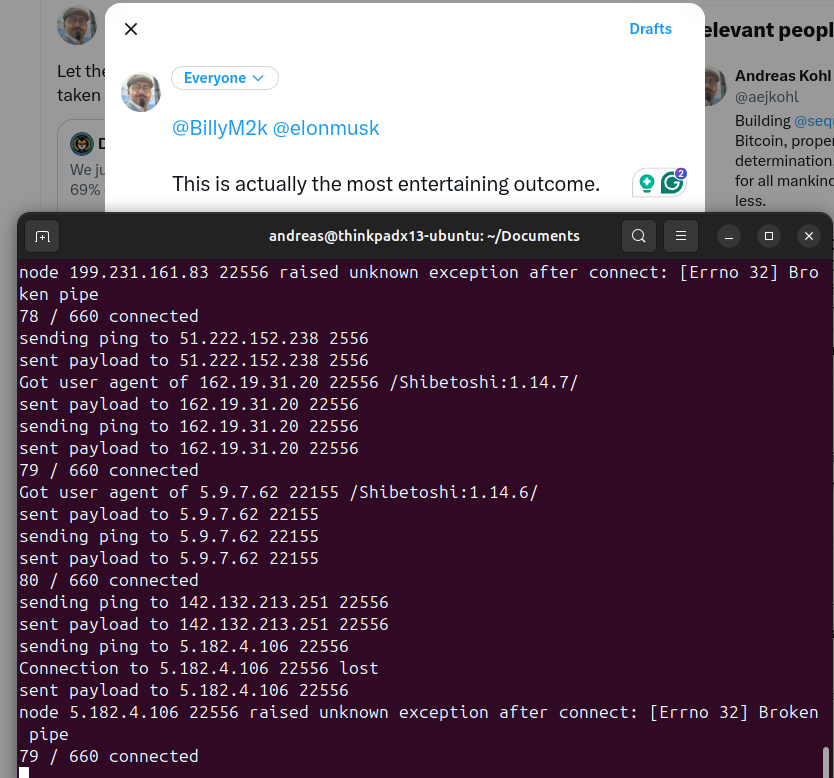 Dogecoin Ağı Exploit Tarafından Vuruldu, Düğümlerin %69'u Çöktü doge