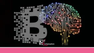 mhaber_12-24-2024_15-24-31 mhaber 12 24 2024 15 24 31